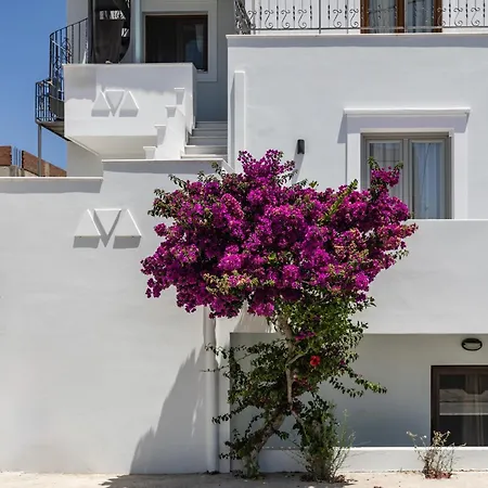 Appartement George's